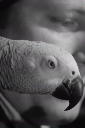 A Journal of the Outdoors No. 11 A Journal of the Outdoors No. 11