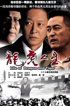 龙虎人生