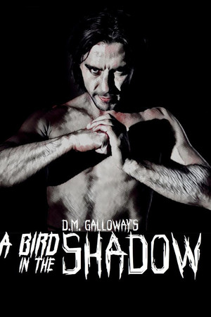 A Bird In The Shadow A Bird In The Shadow