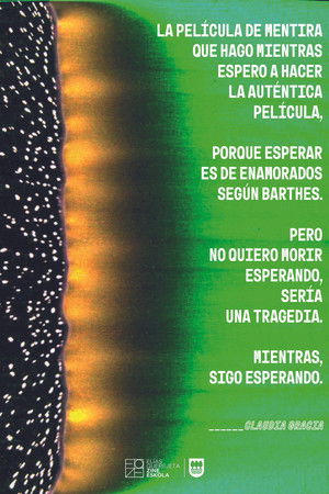 LA PELÍCULA DE MENTIRA