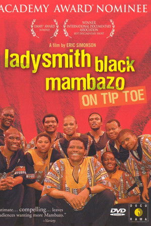 On Tiptoe: Gentle Steps to Freedom