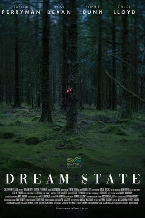 Dream State Dream State