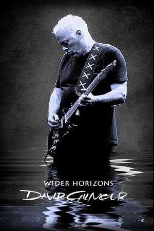 David Gilmour: Wider Horizons David Gilmour: Wider Horizons