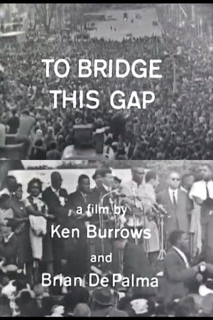 To Bridge This Gap To Bridge This Gap