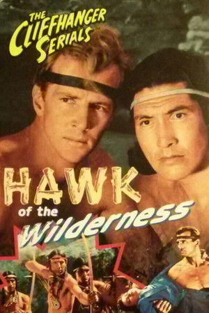 Hawk of the Wilderness Hawk of the Wilderness