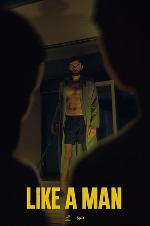 Like a Man Like a Man