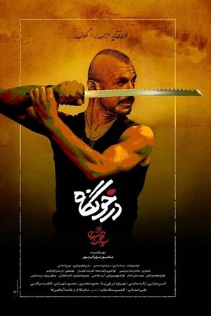 Darkhoongah Darkhoongah