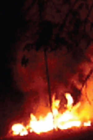 Every Flame Tree is a Burning Island Every Flame Tree is a Burning Island