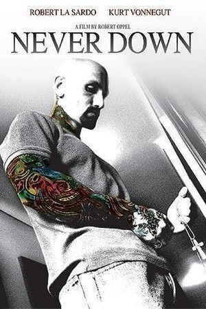 Never Down Never Down