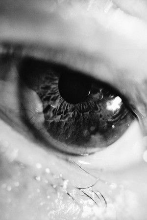 In The Sea of Trees In The Sea of Trees