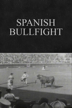 Spanish Bullfight Spanish Bullfight