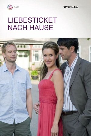 Liebesticket nach Hause