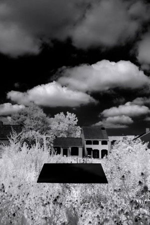 Letter to the Free Letter to the Free