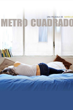 Metro cuadrado Metro cuadrado