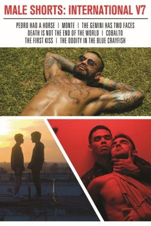 Male Shorts: International V7 Male Shorts: International V7