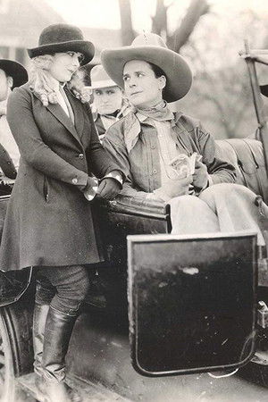 Bashful Whirlwind Bashful Whirlwind