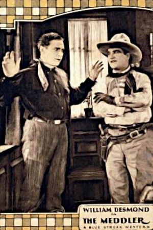 The Meddler The Meddler