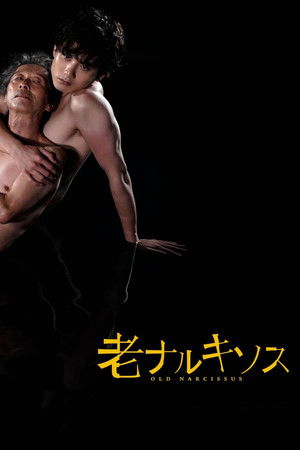 Old Narcissus Old Narcissus