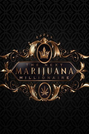 The Next Marijuana Millionaire The Next Marijuana Millionaire