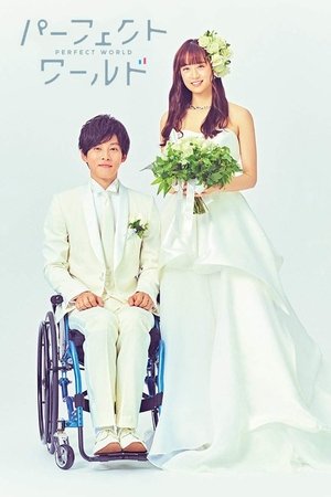 Perfect World Perfect World