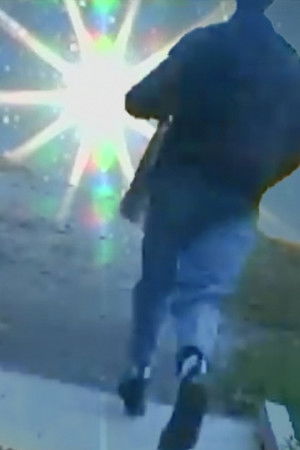 THE BOARDWALK IS THE BRIDGE BECAUSE EVERYTHING IS WATER THE BOARDWALK IS THE BRIDGE BECAUSE EVERYTHING IS WATER