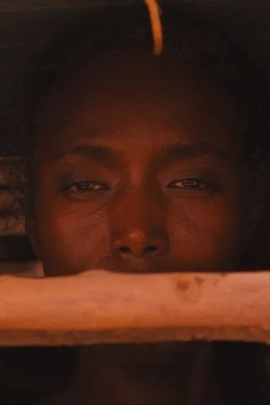 Mother Mother Mother Mother