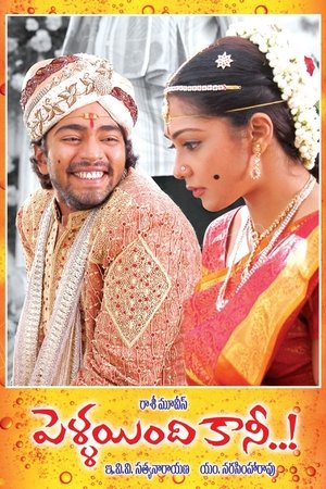 Pellaindi Kaani Pellaindi Kaani