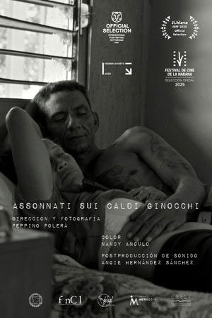 Sleeping on Warm Knees Sleeping on Warm Knees