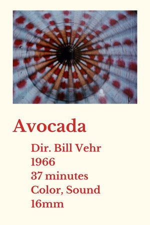 Avocada Avocada