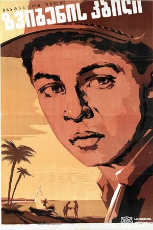 Shark's tooth Shark's tooth