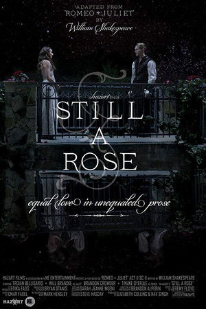 Still a Rose Still a Rose