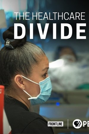 The Healthcare Divide The Healthcare Divide