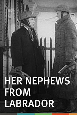 Her Nephews from Labrador Her Nephews from Labrador