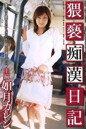 Chikan Diary Obscenity