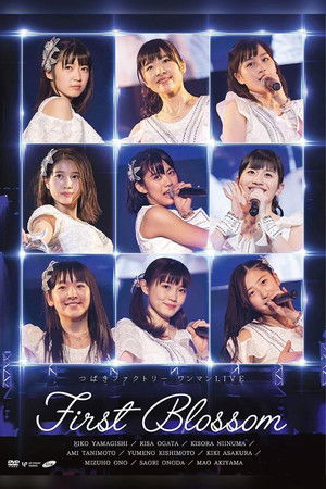 Tsubaki Factory One-Man LIVE ~First Blossom~ Tsubaki Factory One-Man LIVE ~First Blossom~