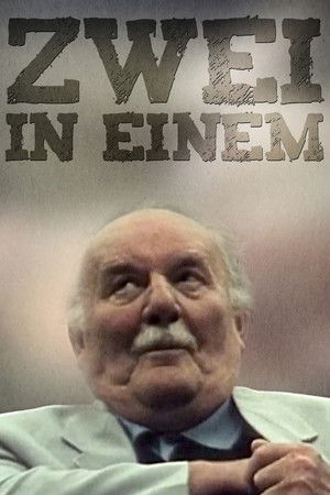 Two in One Two in One