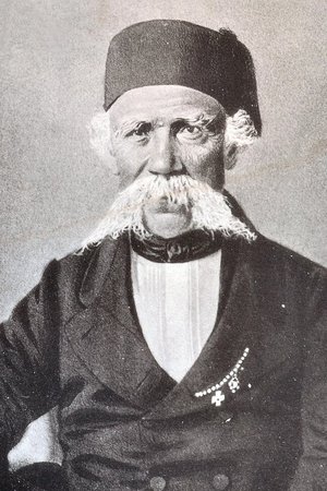 Vuk Karadžić