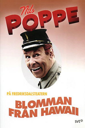 The Flower from Hawaii The Flower from Hawaii