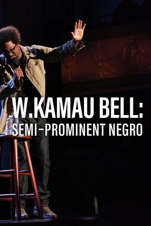 W. Kamau Bell: Semi-Prominent Negro W. Kamau Bell: Semi-Prominent Negro
