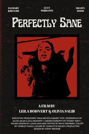 Perfectly Sane Perfectly Sane