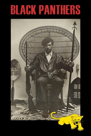 Black Panthers Black Panthers