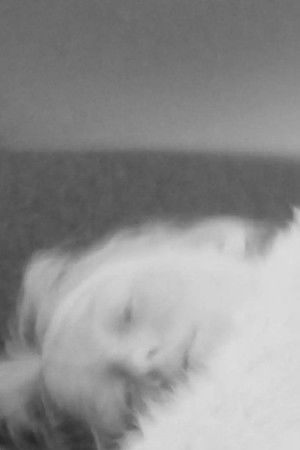 Technology Technology