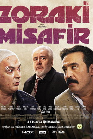 Zoraki Misafir Zoraki Misafir