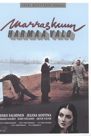 Marraskuun harmaa valo Marraskuun harmaa valo