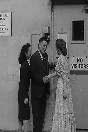 A Finnish Filmmaker in Hollywood A Finnish Filmmaker in Hollywood