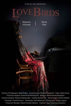 Lovebirds Lovebirds
