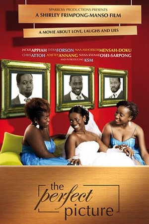 The Perfect Picture The Perfect Picture