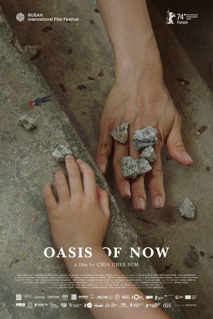 Oasis of Now Oasis of Now