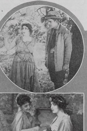 The Wood Nymph The Wood Nymph