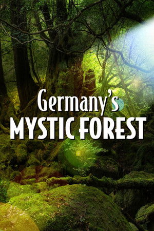 Germany's Mystic Forest Germany's Mystic Forest